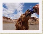 WestwaterApr2009 021 * Beer dog! * Beer dog! * 2560 x 1920 * (1014KB)